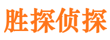 武进侦探公司